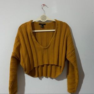 F21 Cropped Sweater